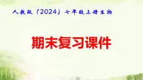 人教版（2024）七年级上册生物期末复习课件