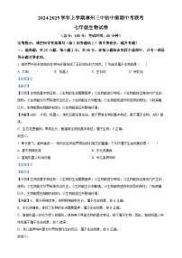 福建省漳州市第三中学2024-2025学年七年级上学期期中生物试题（解析版）-A4