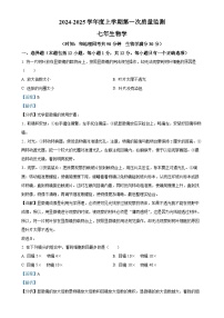 辽宁省沈阳市铁西区2024-2025学年七年级上学期期中生物学试题（解析版）-A4