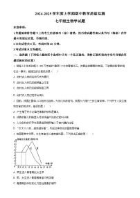 山东省泰安市肥城市2024-2025学年七年级上学期期中生物学试题（原卷版）-A4