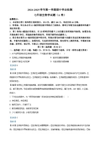 山东省滨州市无棣县2024-2025学年七年级上学期期中生物学试题（A）（解析版）-A4