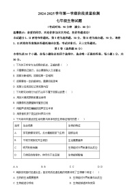 山东省青岛市城阳区2024-2025学年七年级上学期期中生物学试题（原卷版）-A4