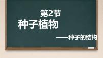 初中生物人教版（2024）七年级上册（2024）第二节 种子植物完美版课件ppt