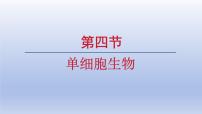生物人教版（2024）第一单元 生物和细胞第三章 从细胞到生物体第四节 单细胞生物教学演示课件ppt