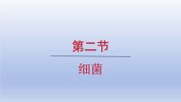 人教版（2024）七年级上册（2024）第二节 细菌教学演示ppt课件