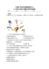 广东省广州市白云区两校联考2024-2025学年八年级上学期9月月考生物试卷(含答案)