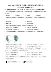 甘肃省张掖市甘州区2024-2025学年八年级上学期第二次月考生物试题