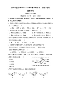 福建省泉州市泉州科技中学2024-2025学年八年级上学期期中考试生物试题