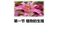 人教版（2024）八年级下册第一节 植物的生殖课文内容课件ppt