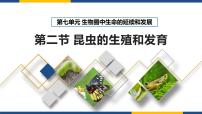 人教版（2024）八年级下册第二节 昆虫的生殖和发育课堂教学课件ppt