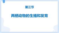 初中生物人教版（2024）八年级下册第三节 两栖动物的生殖和发育背景图ppt课件