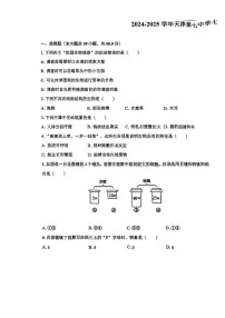天津市第七中学2024-2025学年七年级上学期期中生物试卷