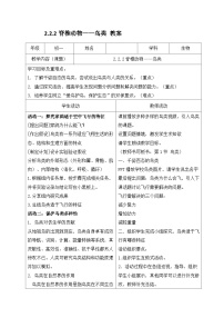 人教版（2024）七年级上册（2024）三 鸟和哺乳动物教案设计