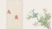 生物七年级上册（2024）第二单元 多种多样的生物第二章 动物的类群第二节 脊椎动物三 鸟和哺乳动物集体备课课件ppt