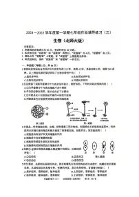 安徽省淮北市部分学校2024-2025学年七年级上学期12月（月考三）生物试题