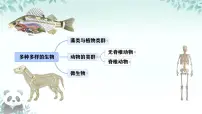 人教版（2024）七年级上册（2024）二 两栖动物和爬行动物课文ppt课件