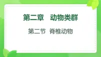 初中生物人教版（2024）七年级上册（2024）第二单元 多种多样的生物第二章 动物的类群第二节 脊椎动物三 鸟和哺乳动物课文课件ppt