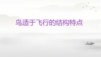 人教版（2024）七年级上册（2024）第二单元 多种多样的生物第二章 动物的类群第二节 脊椎动物三 鸟和哺乳动物备课课件ppt