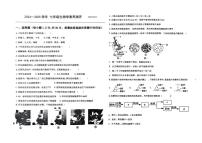 山东省滨州市北镇中学2024-2025学年七年级上学期第一次月考生物试题