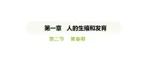 人教版（2024）七年级下册（2024）第二节 青春期教课内容课件ppt