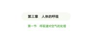 生物人教版（2024）第一节 呼吸道对空气的处理图文ppt课件