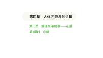 人教版（2024）七年级下册（2024）第三节 输送血液的泵 —— 心脏课前预习课件ppt