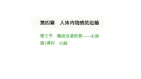 人教版（2024）七年级下册（2024）第三节 输送血液的泵 —— 心脏课前预习课件ppt