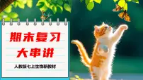 人教版生物七年级上册期末总复习课件