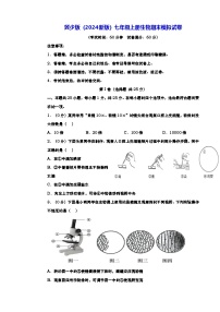 冀少版（2024新版）七年级上册生物期末模拟试卷（含答案）