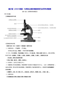 冀少版（2024新版）七年级上册生物期末复习必背考点提纲 学案