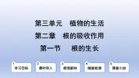 生物冀少版（2024）第一节 根的生长教学课件ppt