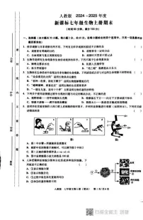 广东省汕头市潮阳区德兴育才学校2024-2025学年七年级上学期期末生物试题