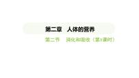 七年级下册（2024）第四单元 人体生理与健康（一）第二章 人体的营养第二节 消化和吸收课文内容ppt课件