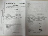 天津市西青区2024-2025学年七年级上学期期末考试生物试题