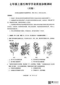 广东省广州市白云区2024-2025学年七年级上学期期末考试生物试卷