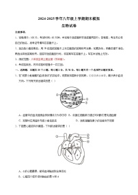 2024-2025学年八年级上学期生物期末模拟试卷（苏科版+含答案解析）
