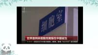 初中生物人教版（2024）七年级上册（2024）第一节 细胞通过分裂产生新细胞获奖课件ppt