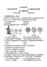 吉林省长春市东北师范大学附属中学2024-2025学年七年级上学期期末考试生物试题