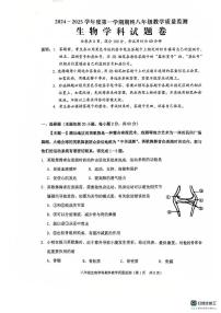 广东省揭阳市普宁市2024-2025学年八年级上学期1月期末生物试题