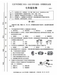 北京市西城区2024-2025学年七年级上学期期末生物试题