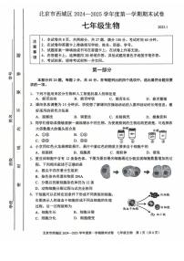 北京市西城区2024-2025学年七年级上学期期末生物试题