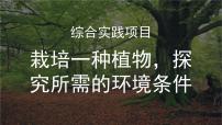 初中生物人教版（2024）七年级下册（2024）综合实践项目 栽培一种植物，探究所需的环境条件多媒体教学ppt课件