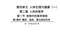 初中人教版（2024）第一节 食物中的营养物质备课ppt课件