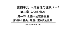 初中人教版（2024）第一节 食物中的营养物质备课ppt课件