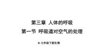 初中生物人教版（2024）七年级下册（2024）第一节 呼吸道对空气的处理多媒体教学课件ppt