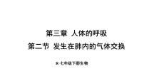 人教版（2024）七年级下册（2024）第四单元 人体生理与健康（一）第三章 人体的呼吸第二节 发生在肺内的气体交换说课课件ppt