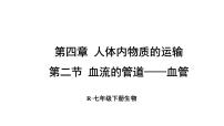 生物七年级下册（2024）第二节 血流的管道 —— 血管课前预习ppt课件