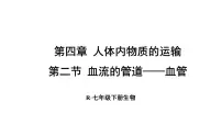 生物七年级下册（2024）第二节 血流的管道 —— 血管课前预习ppt课件