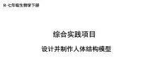 初中生物人教版（2024）七年级下册（2024）综合实践项目 设计并制作人体结构模型图片课件ppt