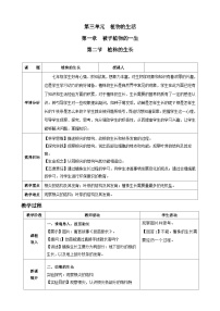 初中生物人教版（2024）七年级下册（2024）第二节 植株的生长教学设计